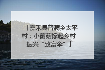 嘉禾县普满乡太平村：小菌菇撑起乡村振兴“致富伞”