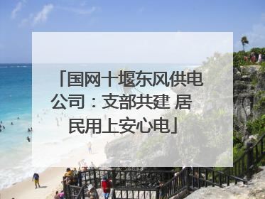 国网十堰东风供电公司：支部共建 居民用上安心电