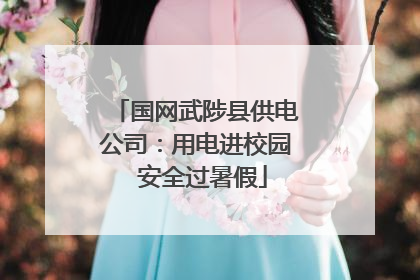 国网武陟县供电公司：用电进校园  安全过暑假