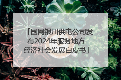 国网银川供电公司发布2024年服务地方经济社会发展白皮书