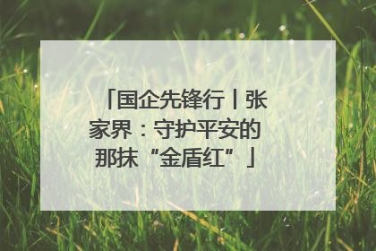 国企先锋行丨张家界：守护平安的那抹“金盾红”