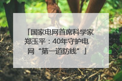 国家电网首席科学家郑玉平：40年守护电网“第一道防线”