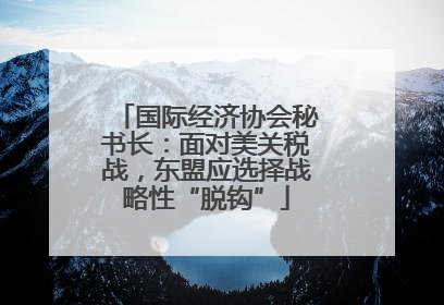 国际经济协会秘书长：面对美关税战，东盟应选择战略性“脱钩”