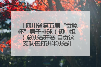 四川省第五届“贡嘎杯”男子排球（初中组）总决赛开赛 自贡这支队伍打进半决赛
