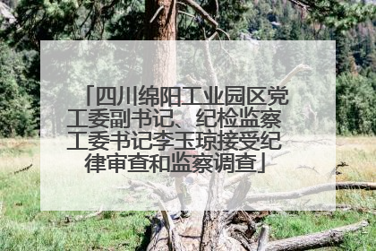 四川绵阳工业园区党工委副书记、纪检监察工委书记李玉琼接受纪律审查和监察调查