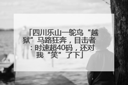 四川乐山一鸵鸟“越狱”马路狂奔，目击者：时速超40码，还对我“笑”了下