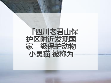 四川老君山保护区附近发现国家一级保护动物小灵猫 被称为“生态试纸”