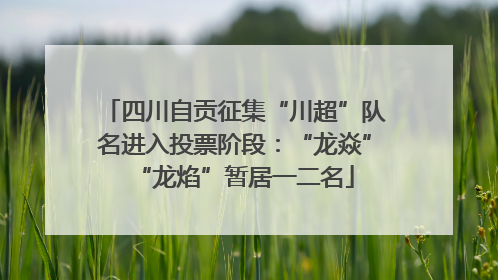 四川自贡征集“川超”队名进入投票阶段：“龙焱”“龙焰”暂居一二名