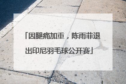因腿痛加重，陈雨菲退出印尼羽毛球公开赛