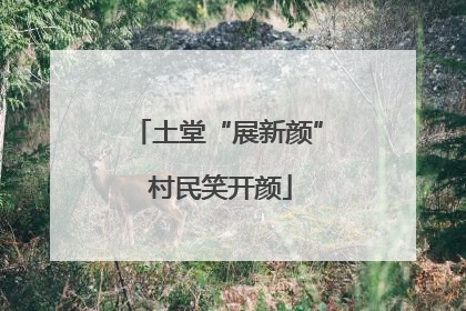 土堂“展新颜” 村民笑开颜