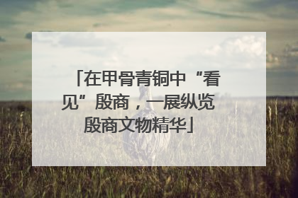 在甲骨青铜中“看见”殷商,一展纵览殷商文物精华