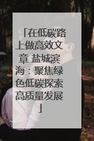 在低碳路上做高效文章 盐城滨海：聚焦绿色低碳探索高质量发展