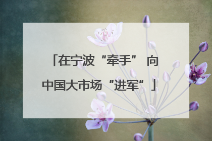 在宁波“牵手” 向中国大市场“进军”