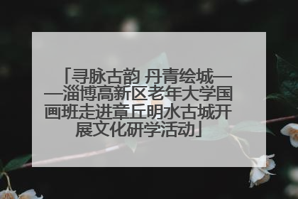 寻脉古韵 丹青绘城——淄博高新区老年大学国画班走进章丘明水古城开展文化研学活动