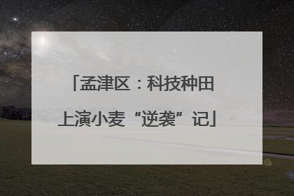 孟津区：科技种田 上演小麦“逆袭”记