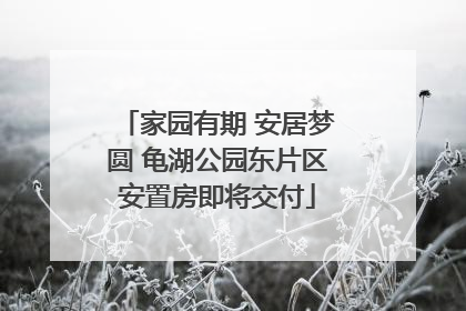 家园有期 安居梦圆 龟湖公园东片区安置房即将交付