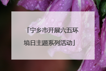 宁乡市开展六五环境日主题系列活动