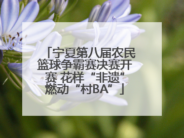 宁夏第八届农民篮球争霸赛决赛开赛 花样“非遗”燃动“村BA”