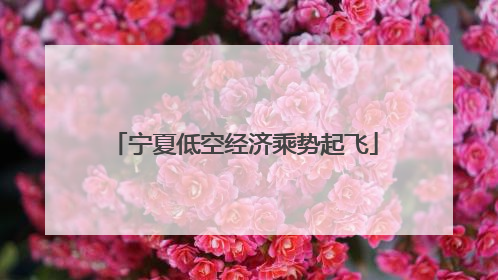 宁夏低空经济乘势起飞