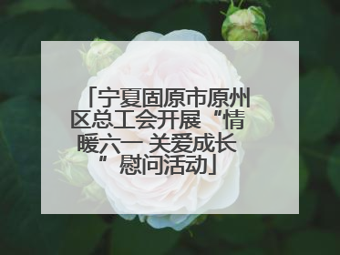 宁夏固原市原州区总工会开展“情暖六一 关爱成长”慰问活动