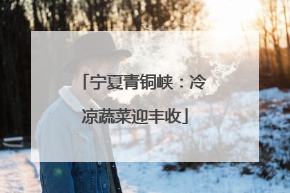 宁夏青铜峡：冷凉蔬菜迎丰收