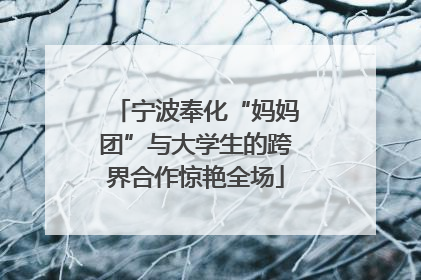 宁波奉化“妈妈团”与大学生的跨界合作惊艳全场