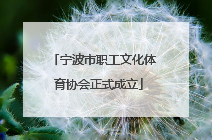宁波市职工文化体育协会正式成立