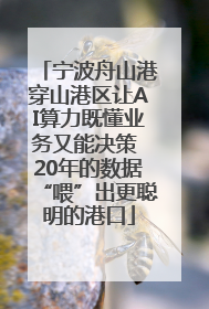 宁波舟山港穿山港区让AI算力既懂业务又能决策 20年的数据“喂”出更聪明的港口
