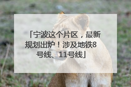 宁波这个片区，最新规划出炉！涉及地铁8号线、11号线