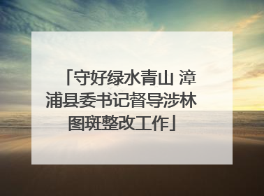 守好绿水青山 漳浦县委书记督导涉林图斑整改工作