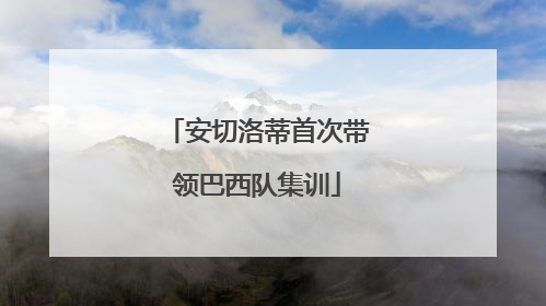 安切洛蒂首次带领巴西队集训