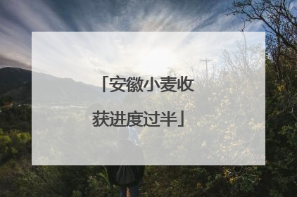 安徽小麦收获进度过半