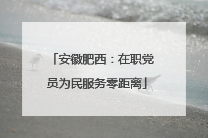 安徽肥西：在职党员为民服务零距离