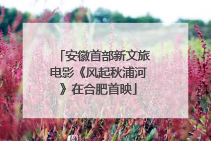 安徽首部新文旅电影《风起秋浦河》在合肥首映