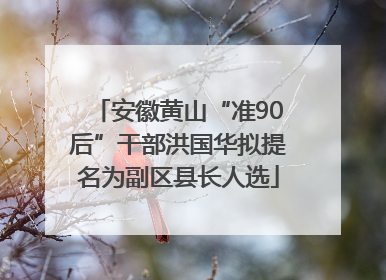 安徽黄山“准90后”干部洪国华拟提名为副区县长人选