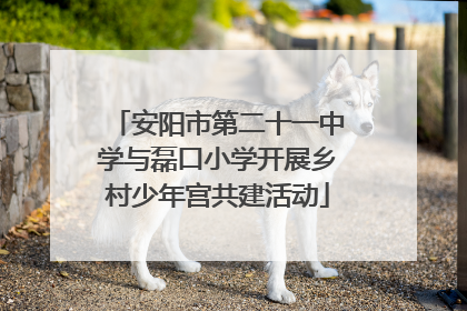 安阳市第二十一中学与磊口小学开展乡村少年宫共建活动