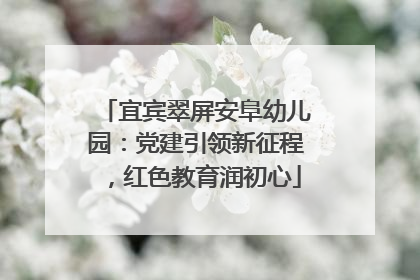 宜宾翠屏安阜幼儿园：党建引领新征程，红色教育润初心