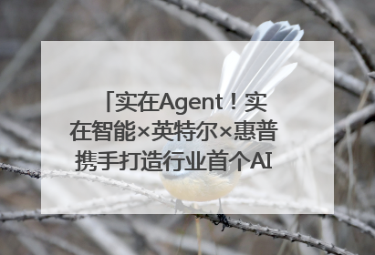 实在Agent！实在智能×英特尔×惠普携手打造行业首个AI PC 智能体