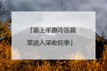 塞上平原冷凉蔬菜进入采收旺季