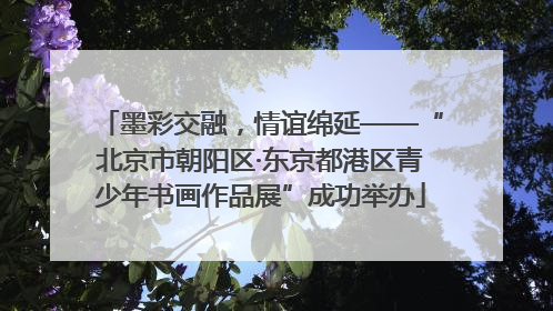 墨彩交融，情谊绵延——“北京市朝阳区·东京都港区青少年书画作品展”成功举办