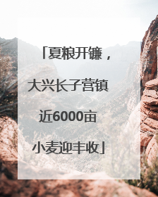 夏粮开镰，大兴长子营镇近6000亩小麦迎丰收