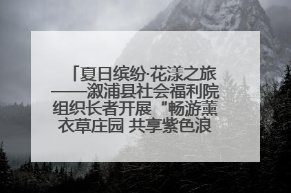 夏日缤纷·花漾之旅——溆浦县社会福利院组织长者开展“畅游薰衣草庄园 共享紫色浪漫”户外活动