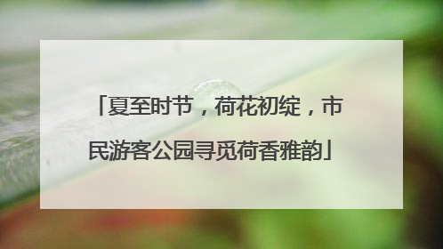 夏至时节，荷花初绽，市民游客公园寻觅荷香雅韵