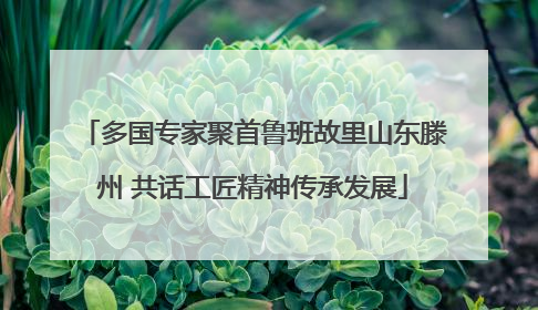 多国专家聚首鲁班故里山东滕州 共话工匠精神传承发展