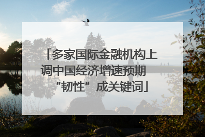 多家国际金融机构上调中国经济增速预期 “韧性”成关键词