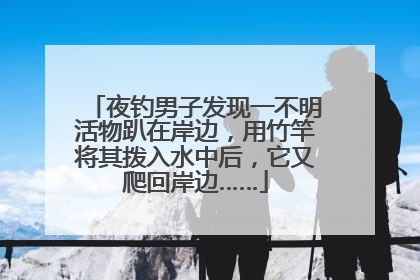 夜钓男子发现一不明活物趴在岸边，用竹竿将其拨入水中后，它又爬回岸边……