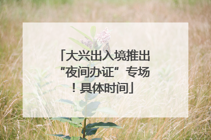 大兴出入境推出“夜间办证”专场！具体时间