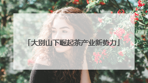 大别山下崛起茶产业新势力