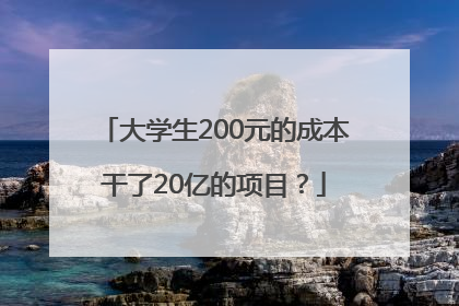 大学生200元的成本干了20亿的项目？