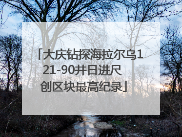 大庆钻探海拉尔乌121-90井日进尺 创区块最高纪录